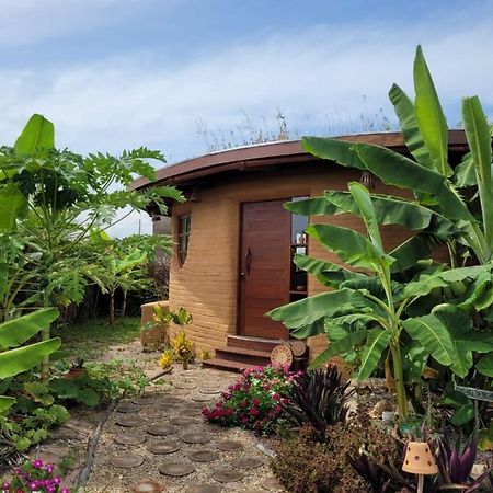 ECO LOFT MAYMUNA: seu loft ecológico pertinho da praia Pôrto de Pedras Exterior foto