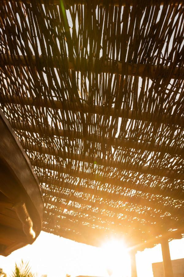 ECO LOFT MAYMUNA: seu loft ecológico pertinho da praia Pôrto de Pedras Exterior foto