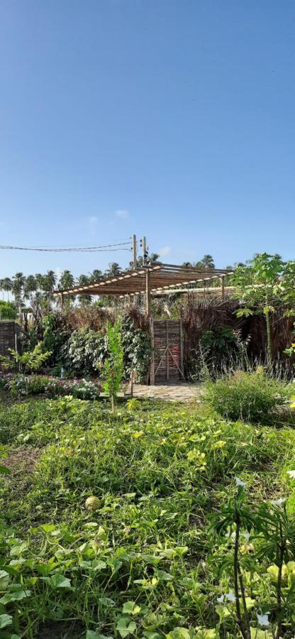 ECO LOFT MAYMUNA: seu loft ecológico pertinho da praia Pôrto de Pedras Exterior foto